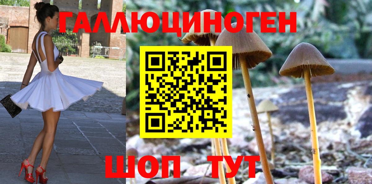 Новочеркасск  Галлюциногенные грибы мицелий  Вход с VPN  Псилоцибиновые грибы Psilocybine cubensis 